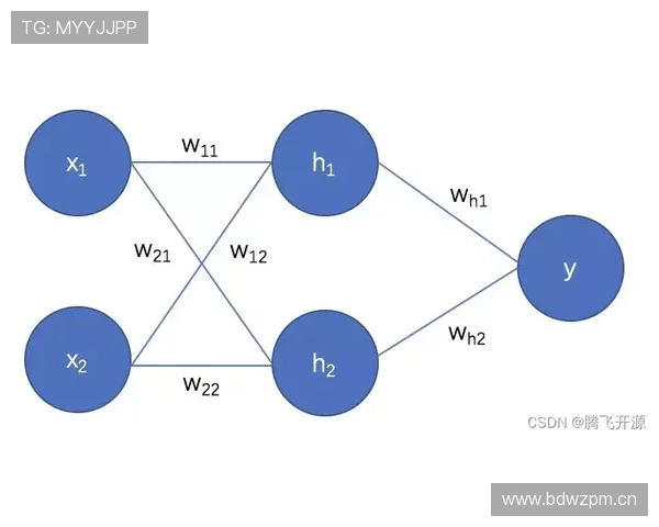 杜埃与维尔茨组织能力及参与度的关键差异解析